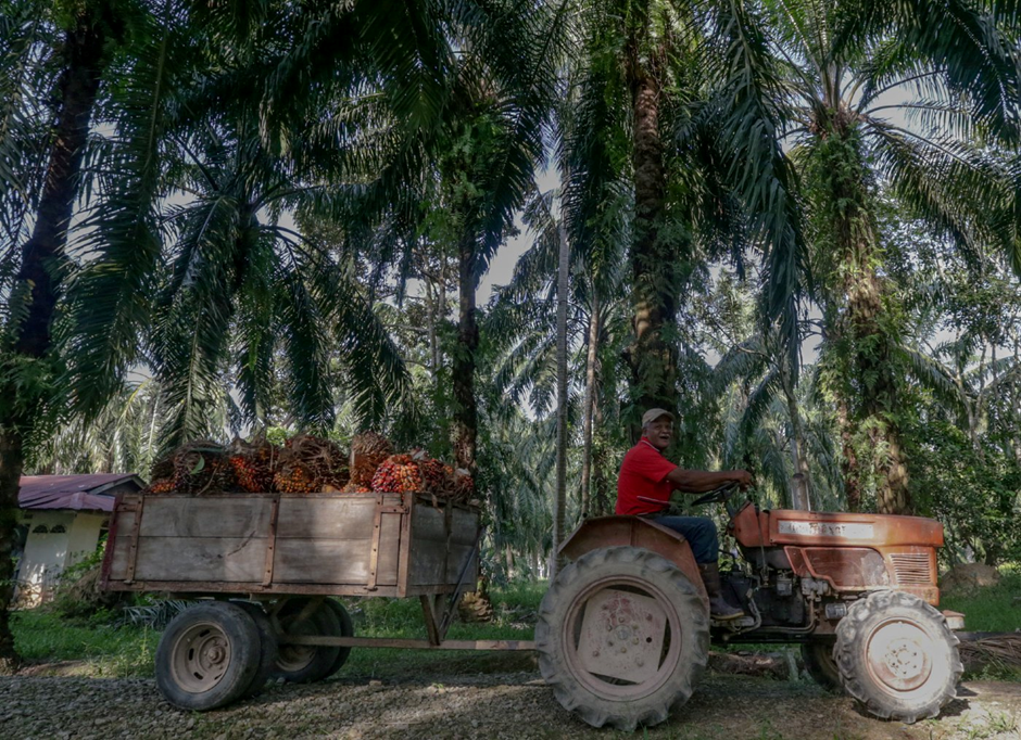 FGVPI Targets RM1bil Profit Before Tax By 2030