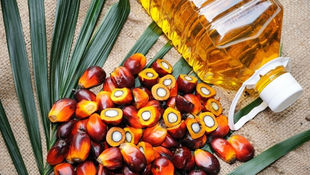 Oleopalma first RSPO-certified company in Mexico
