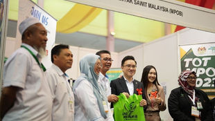 Sabah To Come Up with Policy on Oil Palm Biomass