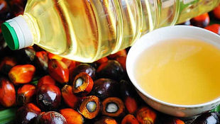 Debunking myths on palm oil