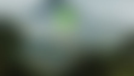 RSPO Mengatakan Bahwa Kriterianya Merupakan Salah Satu yang Terketat di Dunia Terkait Deforestasi