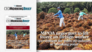 MPOA Urges Govt to Lift Freeze on Foreign Worker Recruitment for Palm Oil Industry