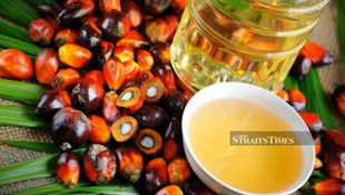 AI Technology Can Be Game Changer for Palm Oil Industry