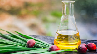 Is This the Beginning, or the End For Palm Oil In China?