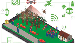 Transforming Oil Palm Plantations with Digital Innovations: A Case Study Using PMMP