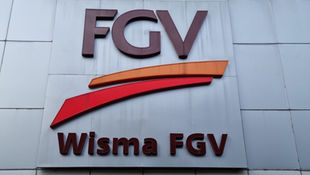 FGV Expects to Benefit from Jakarta's Decision to Lift Palm Oil Export Ban