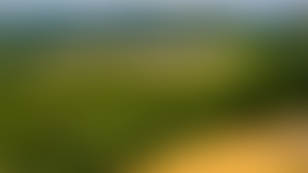 Can Regenerative Agriculture Make Palm Oil Sustainable?
