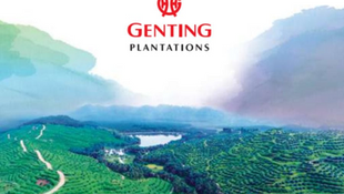 Genting Plantations Seed Venture to Bolster Diversification
