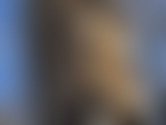 Winter Life Along the Lake Superior Watershed