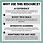 Thumbnail: AI Scavenger Hunt - Artificial Intelligence & Technology Skills Worksheets Games