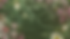 Openingsbeeld website 3.png