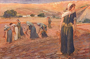 Weekly Message 09.13.2024 Parashat Ki Teitzei