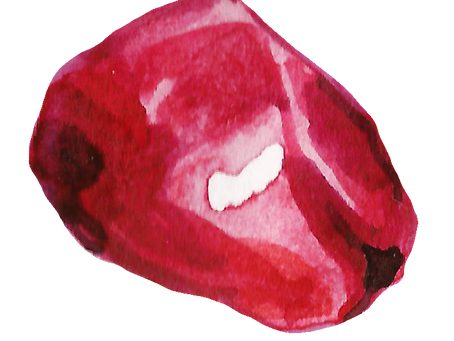 Weekly Parshah Study 7.29.19