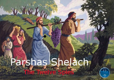 Weekly Message 06.16.2023 Parashat Shelach