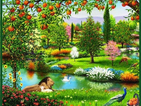 Weekly Message 10.25,2024 Parashat Bereshit