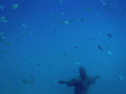 buceo en Paraty