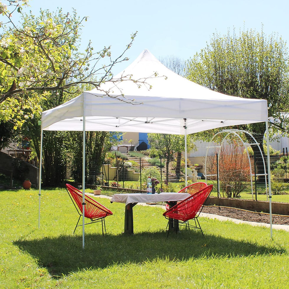 Miniature : barnum pliant 3x3 occasion tour 37 Indre-et-Loire