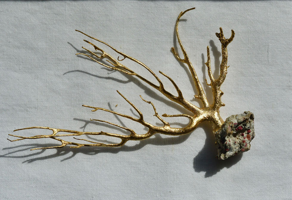 Sea Whip Coral
