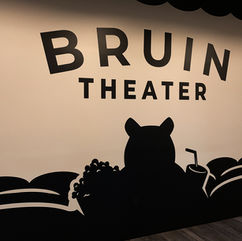 Theater Wall Vinyl