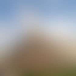 ¡VIVA MÉXICO! Prepara tu hogar para las fiestas patrias 🇲🇽