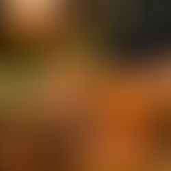 FÁBRICAS DE CHOCOLATE EN YUCATÁN 🍫 🛖