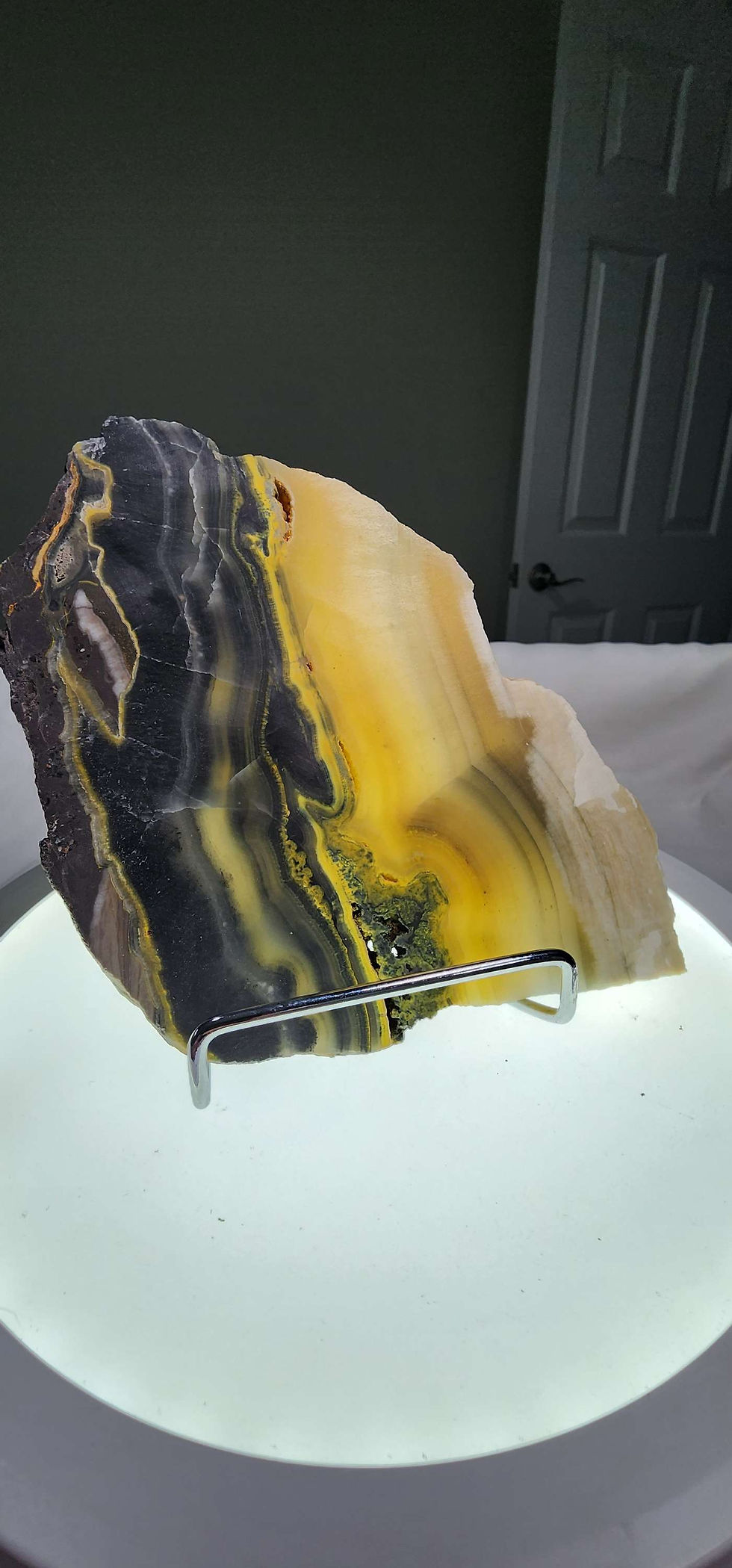 Miniatura: Bumblebee Jasper 