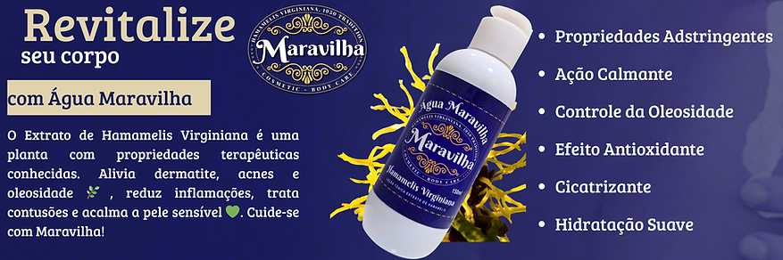 Banner site  (2).png