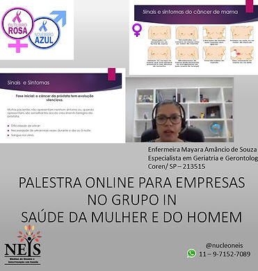 Arte redes palestra Mayara NEIS.jpg