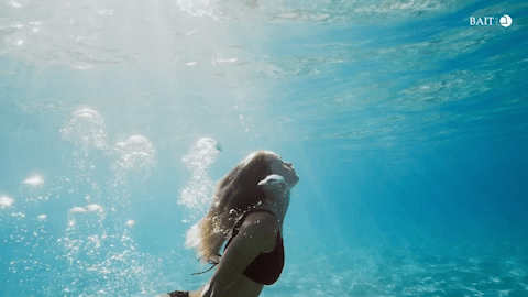 Canto01.gif