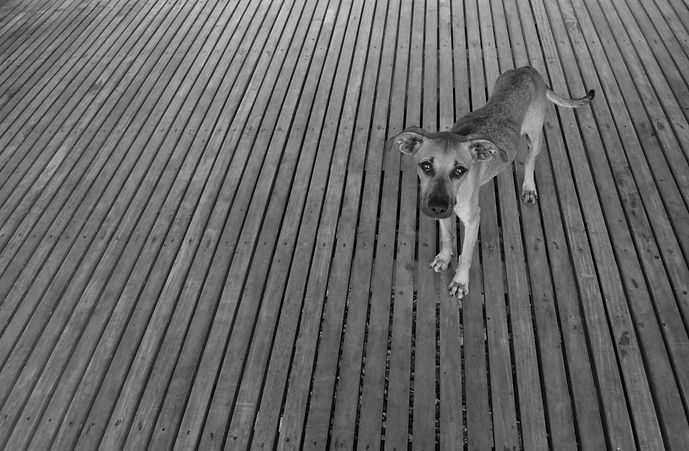 DSC_6283.jpeg