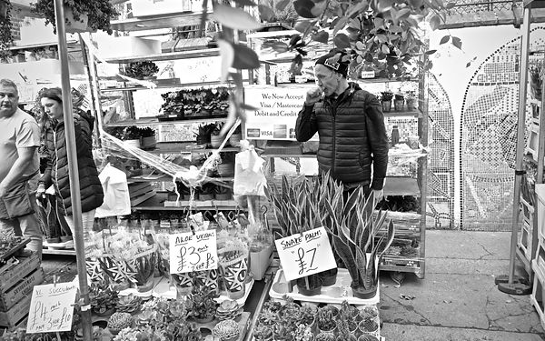 DSC_7997.jpeg