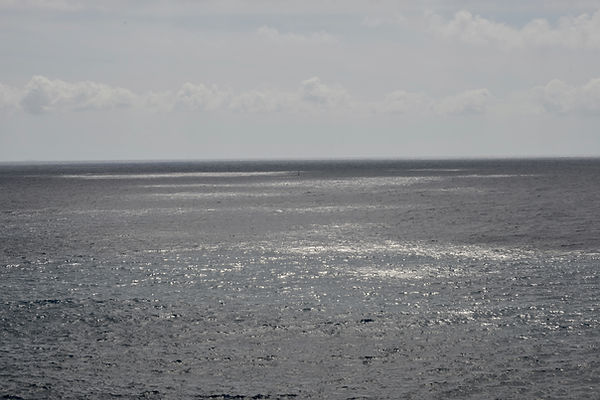 DSC_0335.jpeg