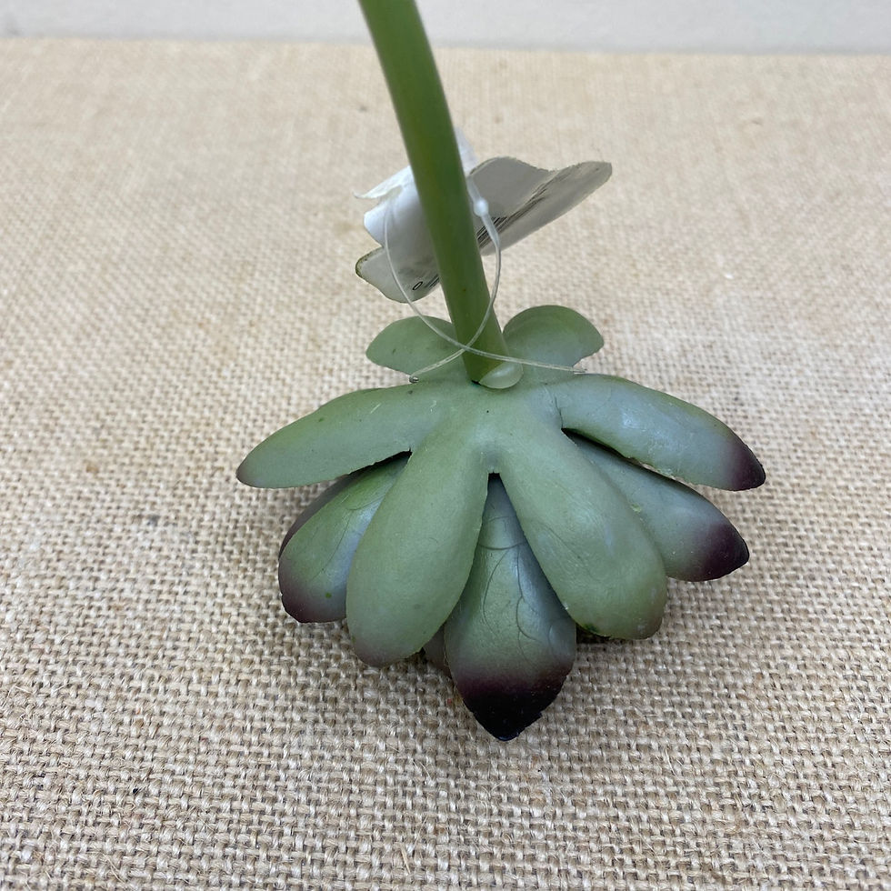 Thumbnail: Darice Rubbery Life Like Succulent Stem 4.5”