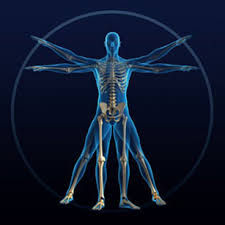 Kinesiologia BIODENTS