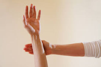 Kinesiologia Test muscular BIODENTS