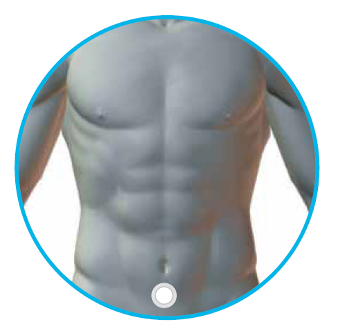 Below the belly button