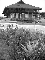 758_56930417072_2094_n_edited.jpg