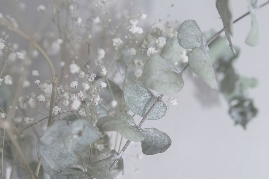 Eucalyptus and Babys Breath_edited.jpg
