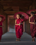 Young Buddhist Monks