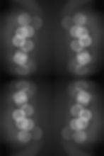 B & W Page copy.jpg