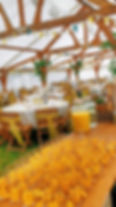 Orange Wedding_edited.jpg