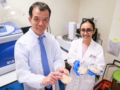 NTU Singapore Ferments Okara With Oyster Mushroom Mycelium Substantially Lifting Protein Levels