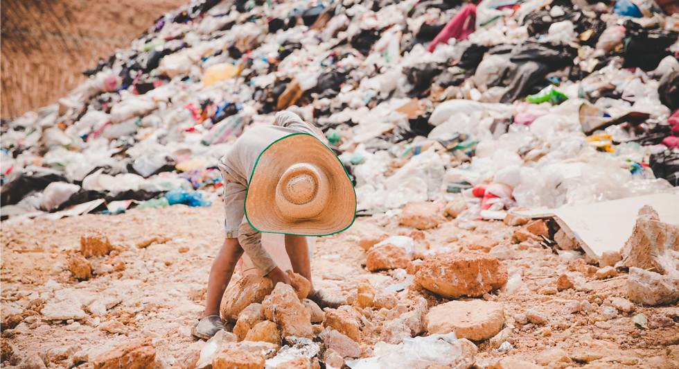 Kenyan Startup Turns Agricultural Waste Into Affordable Housing Mycelium Panels