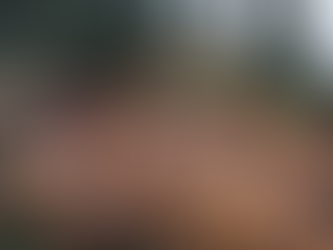 Long-term Effects of Clear-cutting Forestry on Ectomycorrhizal Fungi in Boreal Forest Revealed