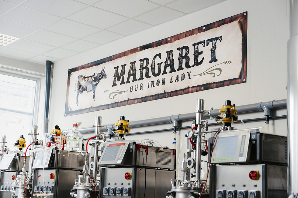 Those Vegan Cowboys Leads €1.2M Project on Cow-Free Casein for Sports Nutrition