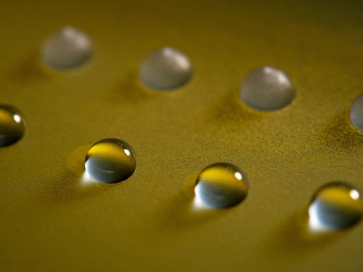 Fungi Can Trigger Ice Formation in Clouds  and That Could Change Weather Science