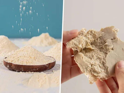 China's Fermentation Giants Are Pivoting to Mycoprotein as Pharma Profits Thin