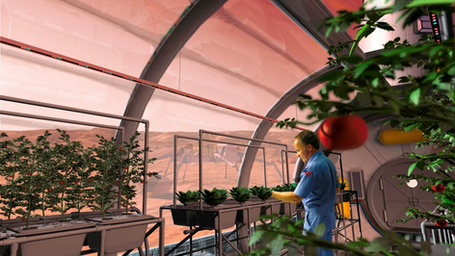 Trichoderma and Mycorrhizal Fungi Weighed for Regolith Farming on the Moon and Mars