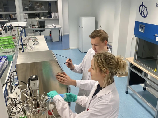 Maash Secures €12M to Scale LoCylia Mycoprotein for Blended Meat and Pet Food