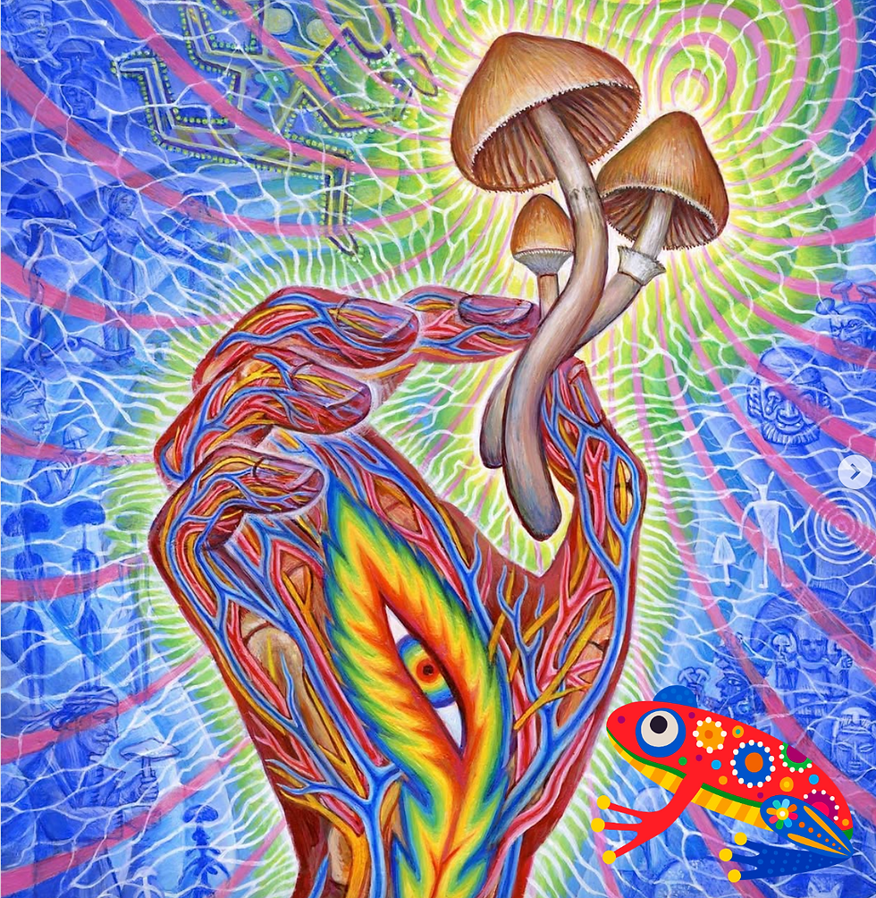 MushLove Magic Meetup